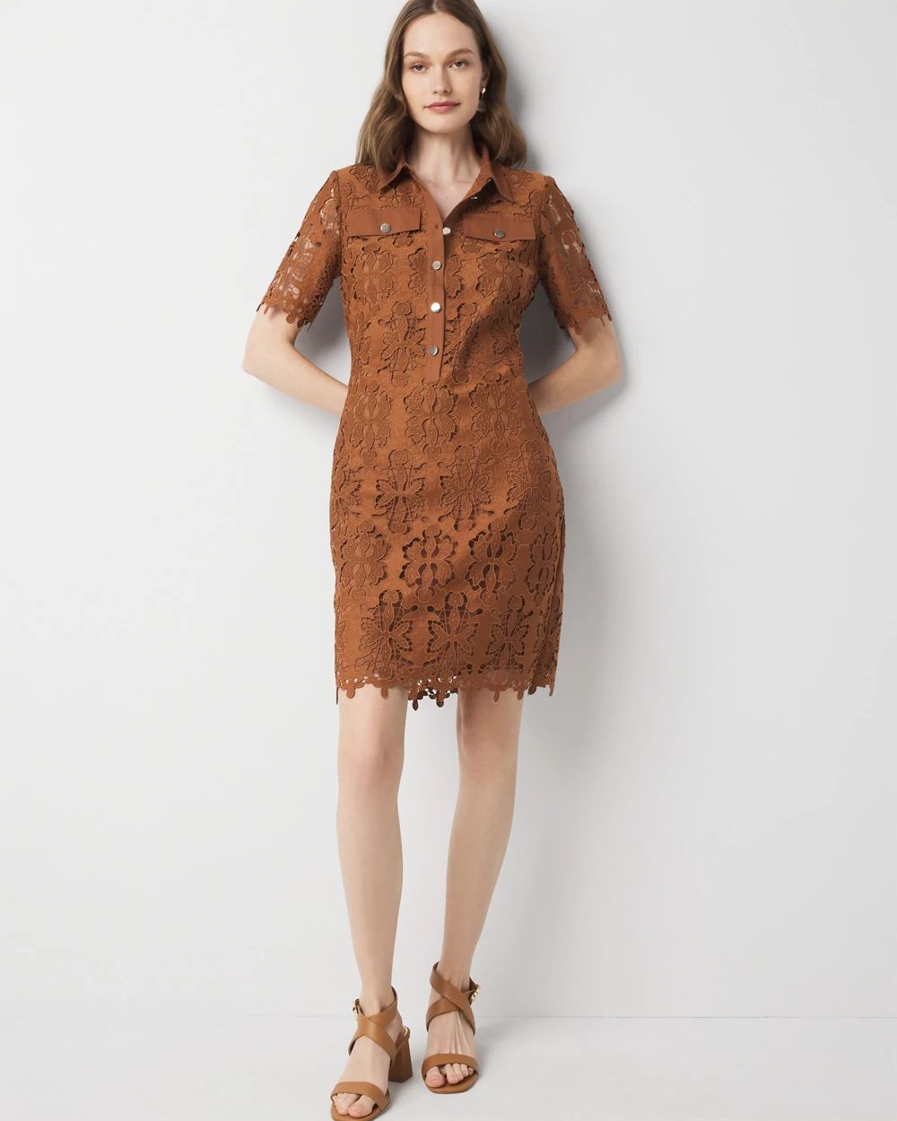 Petite Lace Shirt Dress