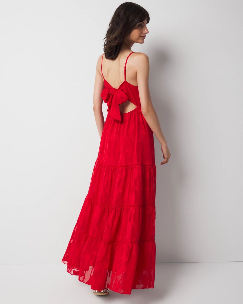 Chiffon Burnout Maxi Dress