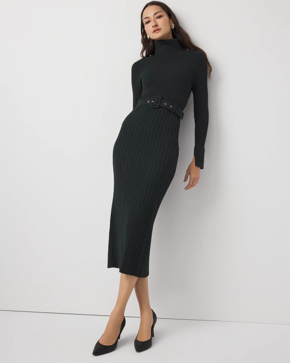 Petite Turtleneck Sweater Midi Dress