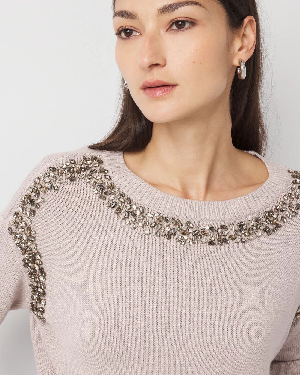 Petite Rhinestone Crewneck Sweater