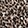 Joyful Leopard Taupe